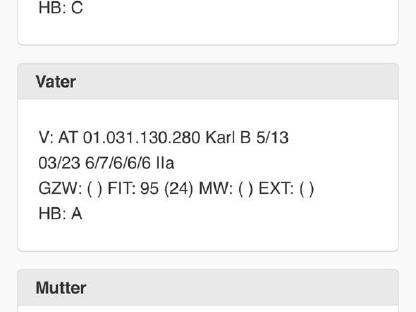 Bild 2:Braunes Bergschaf