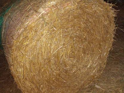 Bild 2:Strohballen