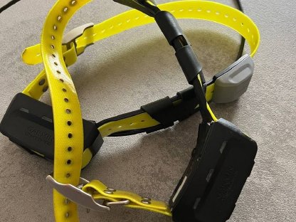 Bild 3:Garmin Alpha 100 mit zwei TT15 Halsbändern - Komplettset für