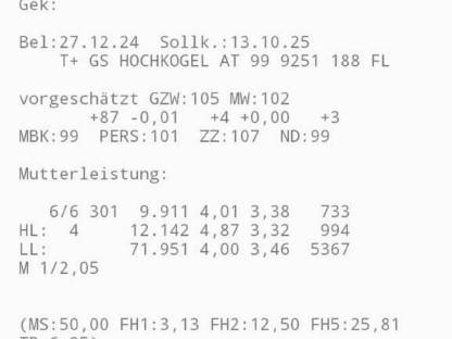Bild 6:FV Kalbin tragend