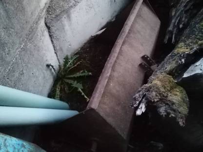 Bild 7:Frontlader für Steyr 545