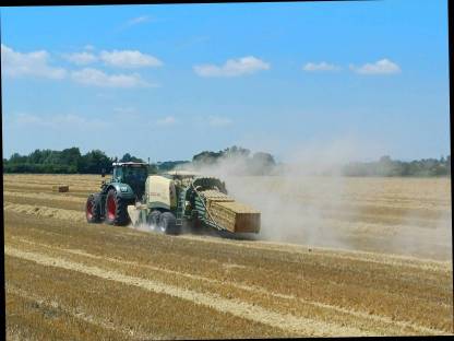 Bild 2:Stroh gehäckselt, geschnitten