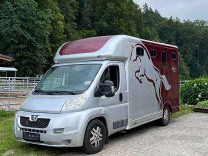 Pferdetransporter Peugeot