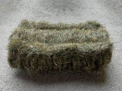 Bild 4:Bio Heu-Ballen 2025
