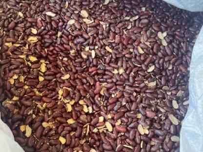 BIO-Rote Bohnen aus Österreich, ZZU