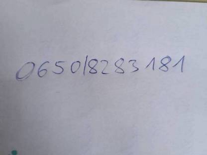 Bild 5:Fleckvieh-Kalbin