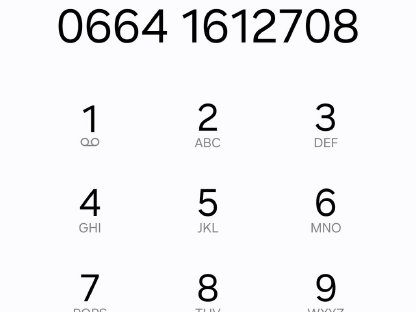 Bild 2:Bio Pi Stierkalb