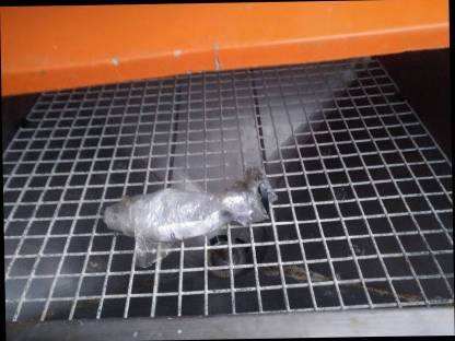 Bild 4:Landgut Salz- und Kiesstreuer