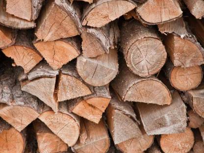 Brennholz