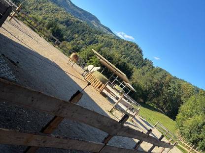 Bild 5:Offenstall Einstellplätze