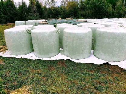 Bild 2:Silomaisballen