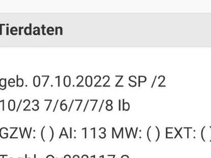 Widder