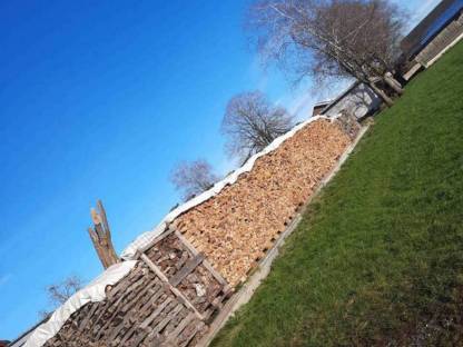 Bild 3:Brennholz Buche