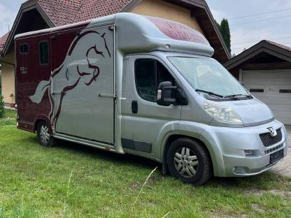 Bild 2:Pferdetransporter Peugeot