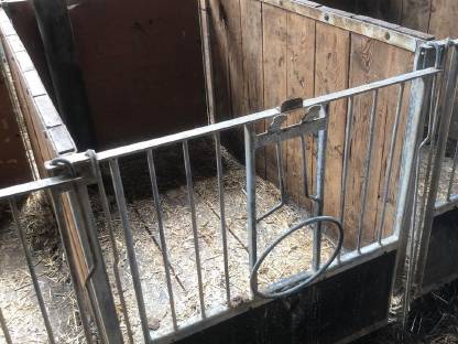 Bild 5:Kälberboxen