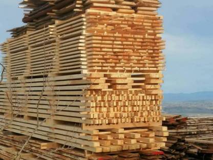 Bild 4:Erlen- und Eschenholz