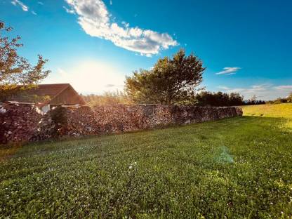 Bild 2:Brennholz Buche, Hartholz, Fichte