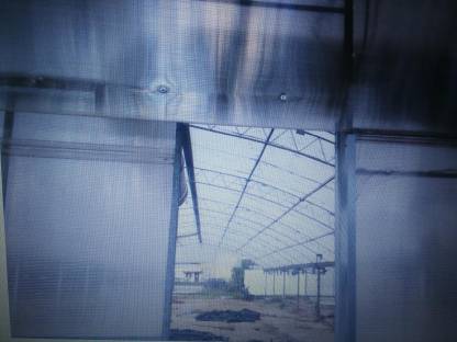 Bild 8:Serra zingata 640 m²