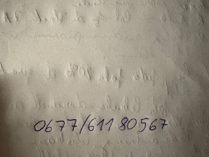 Bild 5:Lohntransport Maisernte