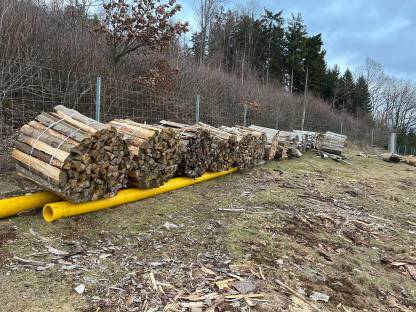 Bild 4:Brennholz