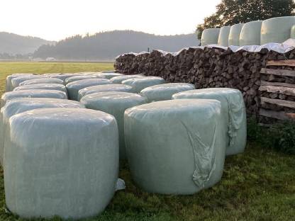 Bild 2:Siloballen 2. und 4. Schnitt