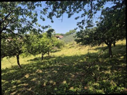 Bild 4:Einstellplatz für Pensionisten zu vergeben