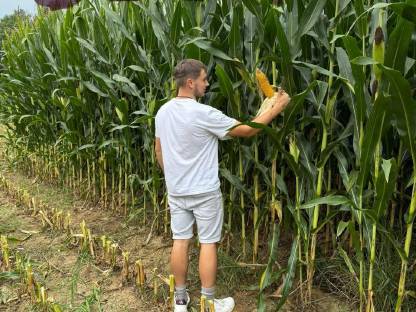 Bild 8:Silo Mais Ballen Kärnten Ernte 2025
