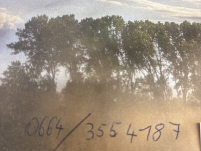 Bild 8:Muser MAN Motor