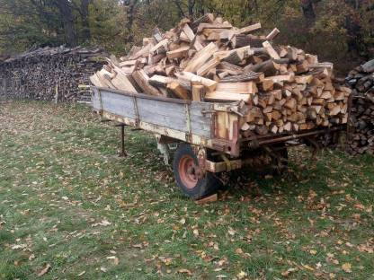 Brennholz