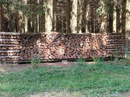 Brennholz