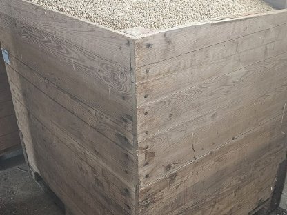 Wintererbsen Flockon