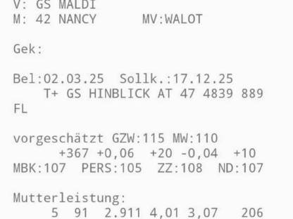 Bild 4:Fleckvieh-Kalbin