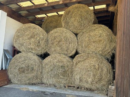 Bild 2:Bio Heu 1 und 2 Schnitt