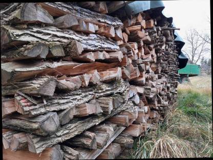 Bild 3:Holz, 20 m Brennholz, 19 m Hartholz, 1 m Weichholz