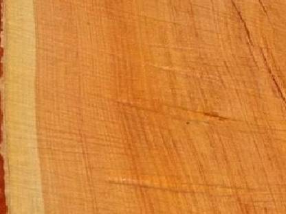 Bild 3:Bretter Edelholz Christusdorn Meisterstück Kirsch Birne