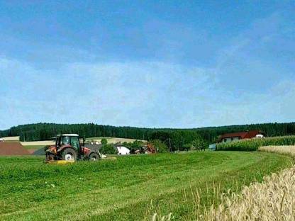 Bild 2:Milchviehbetrieb sucht Pachtflächen in Urfahr-Umgebung