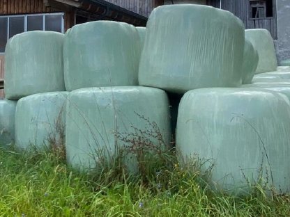 Grassilageballen 1. Schnitt 2024