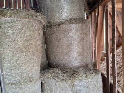 Bild 2:Siloballen und Heuballen