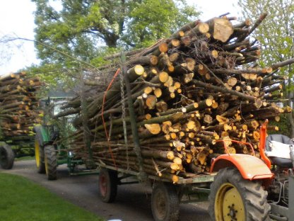 Rungenwagen, Holzwagen, Gummiwagen