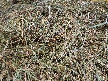 Bild 2:Kleinquaderballen