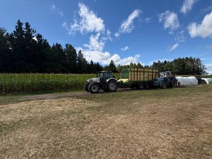 Bild 2:Lohntransport Maisernte