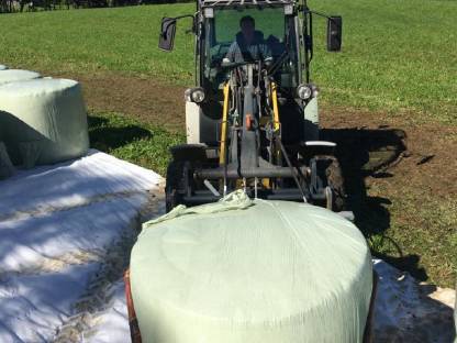 Bild 6:Silo Mais Ballen Kärnten Ernte 2025