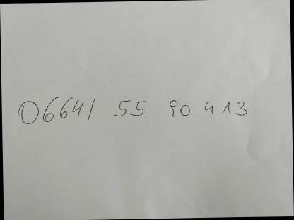 Bild 3:Bio Fleckviehkalbin behornt