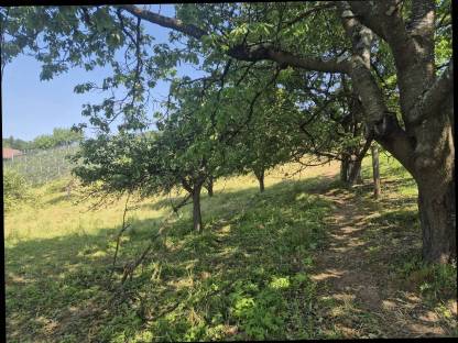 Bild 5:Einstellplatz für Pensionisten zu vergeben