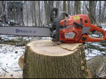 Waldarbeit: Holzschlägerung - Durchforstung