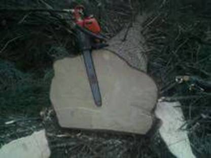 Bild 3:Holzschlägerung & Bringung