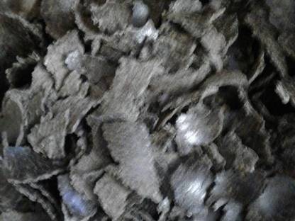 Bild 4:Gebrauchte Ölpresse Schneckenpresse