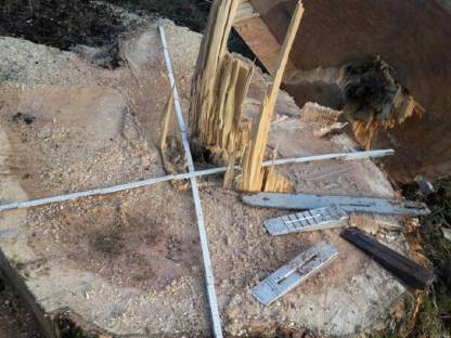 Bild 3:Forst- und Heckenschneidearbeiten mit Bagger