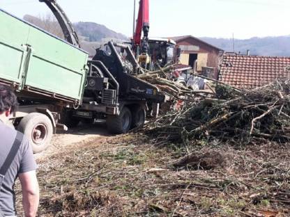 Bild 4:Forst- und Heckenschneidearbeiten mit Bagger
