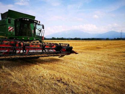 Bild 4:Lohndruschflächen